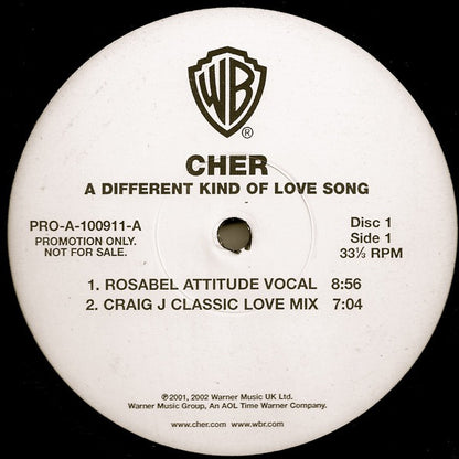 Cher : A Different Kind Of Love Song (2x12", Advance, Promo)