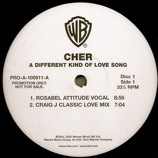 Cher : A Different Kind Of Love Song (2x12", Advance, Promo)