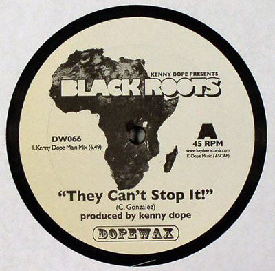 Kenny Dope* : Black Roots (12")