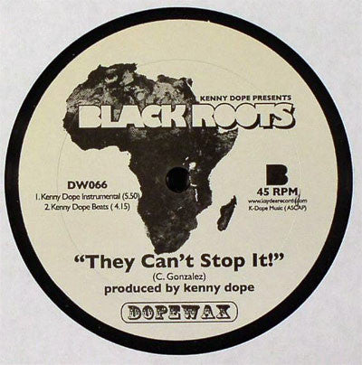 Kenny Dope* : Black Roots (12")