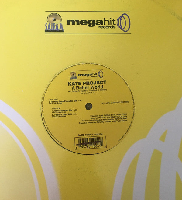 Kate Project : A Better World (12")