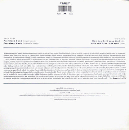 The Style Council : Promised Land (12", Single)