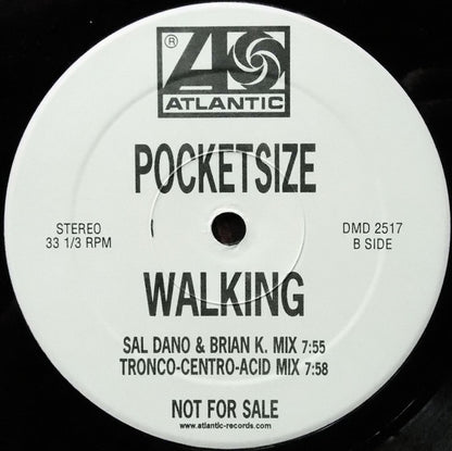 Pocket Size : Walking (2x12", Promo)