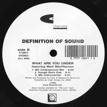 Definition Of Sound : What Are You Under (12")