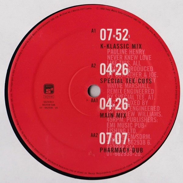 Pauline Henry Featuring Wayne Marshall (3) : Never Knew Love Like This (12")