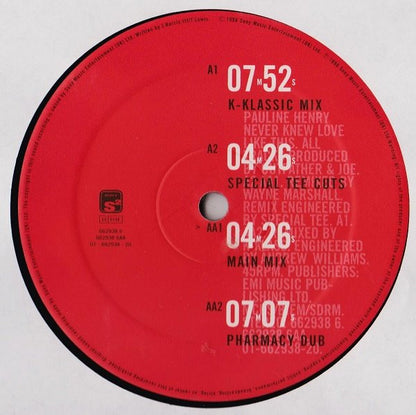Pauline Henry Featuring Wayne Marshall (3) : Never Knew Love Like This (12")
