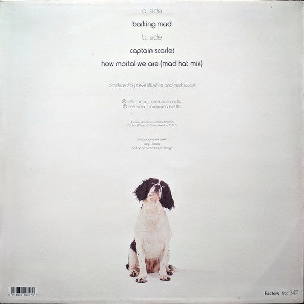 The Adventure Babies : Barking Mad (12")