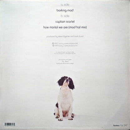 The Adventure Babies : Barking Mad (12")