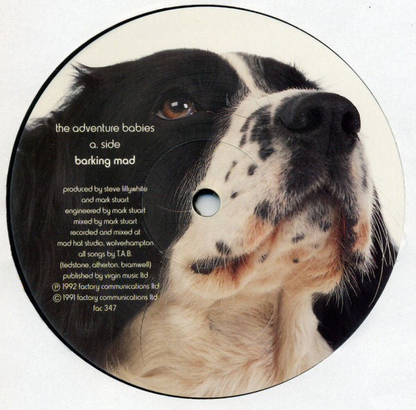 The Adventure Babies : Barking Mad (12")