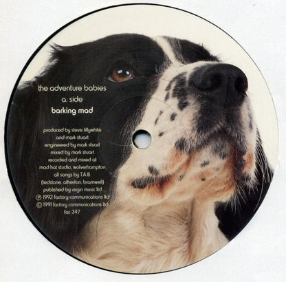 The Adventure Babies : Barking Mad (12")
