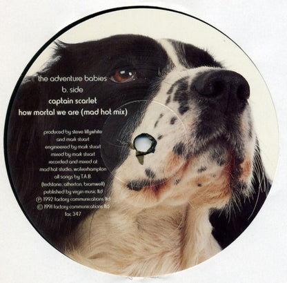The Adventure Babies : Barking Mad (12")