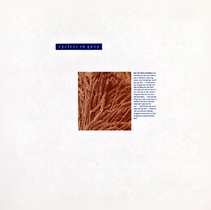 Eyeless In Gaza : Kiss The Rains Goodbye (12")