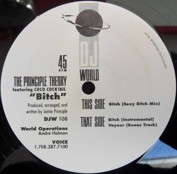 The Principle Theory Featuring Coco Cocktail : Bitch (12")