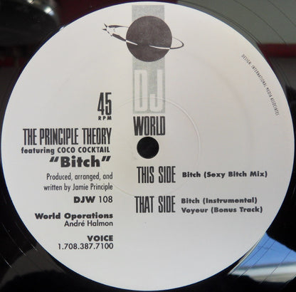 The Principle Theory Featuring Coco Cocktail : Bitch (12")