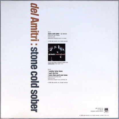 Del Amitri : Stone Cold Sober (12", Single, Promo, B /)