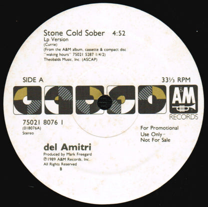 Del Amitri : Stone Cold Sober (12", Single, Promo, B /)