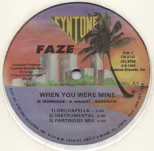 Faze (2) : When You Were Mine (12", Single)