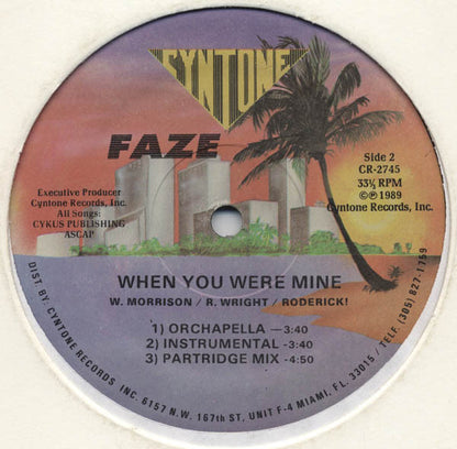 Faze (2) : When You Were Mine (12", Single)