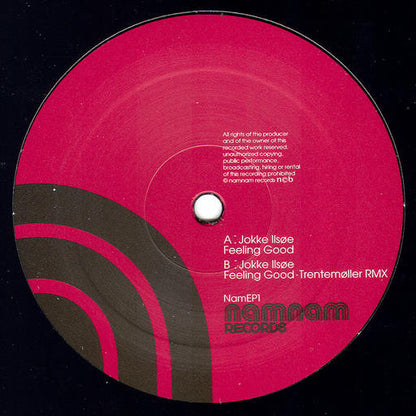 Jokke Ilsøe : Feeling Good (12")