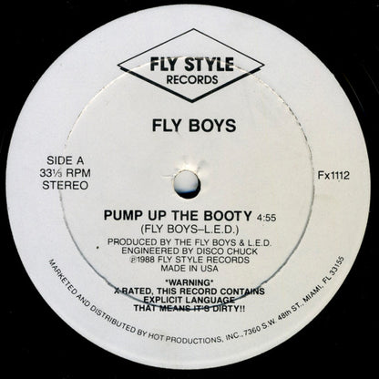 The Fly Boys : Pump Up The Booty (12")