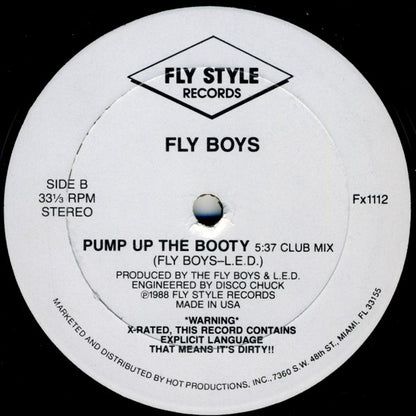 The Fly Boys : Pump Up The Booty (12")