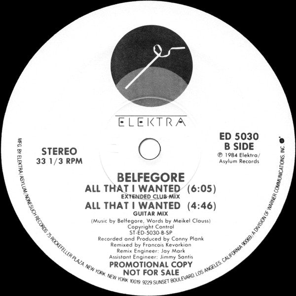 Belfegore : All That I Wanted (12", Promo)
