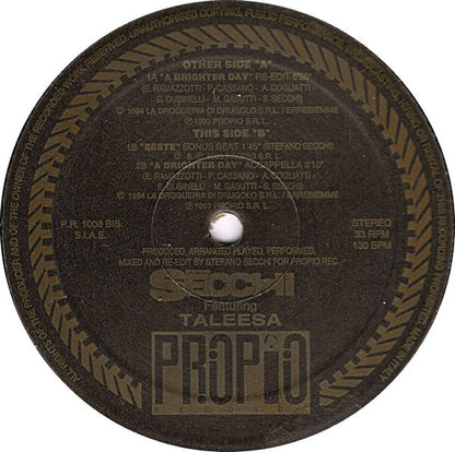 Stefano Secchi Featuring Taleesa : A Brighter Day (12")