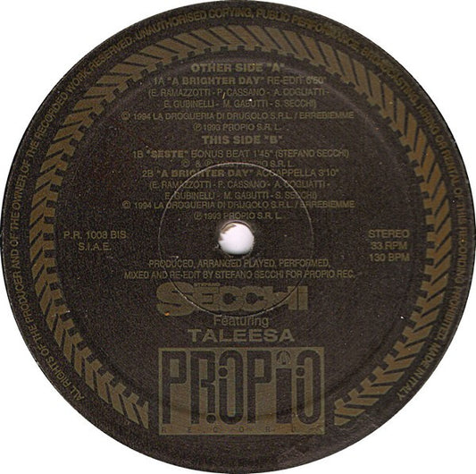 Stefano Secchi Featuring Taleesa : A Brighter Day (12")