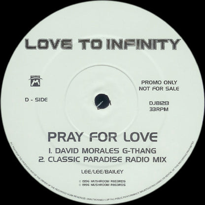 Love To Infinity : Pray For Love (2x12", Promo)