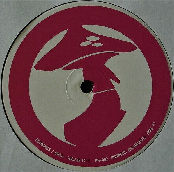 DJ 43 : Promised Land (12")