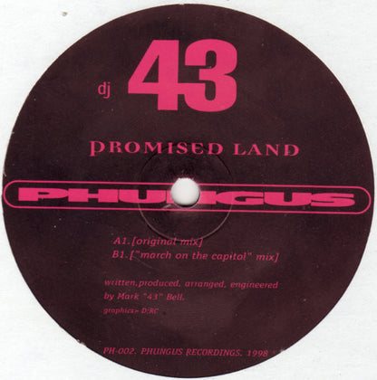 DJ 43 : Promised Land (12")