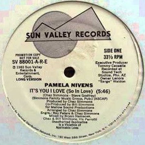 Pamela Nivens : It's You I Love (So In Love) (12", Promo)