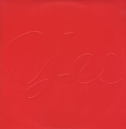 Amber : Yes! (2x12", Promo)