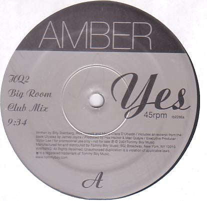 Amber : Yes! (2x12", Promo)