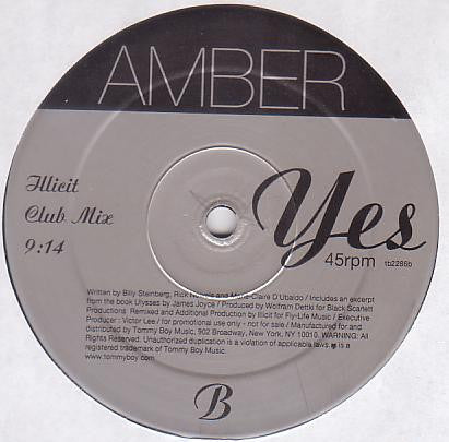 Amber : Yes! (2x12", Promo)