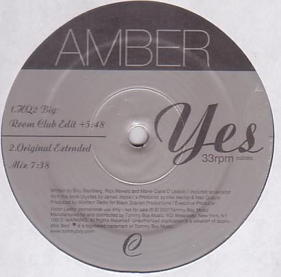 Amber : Yes! (2x12", Promo)