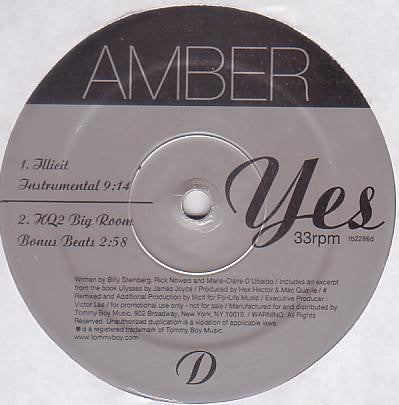 Amber : Yes! (2x12", Promo)