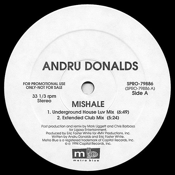 Andru Donalds : Mishale (12", Promo)