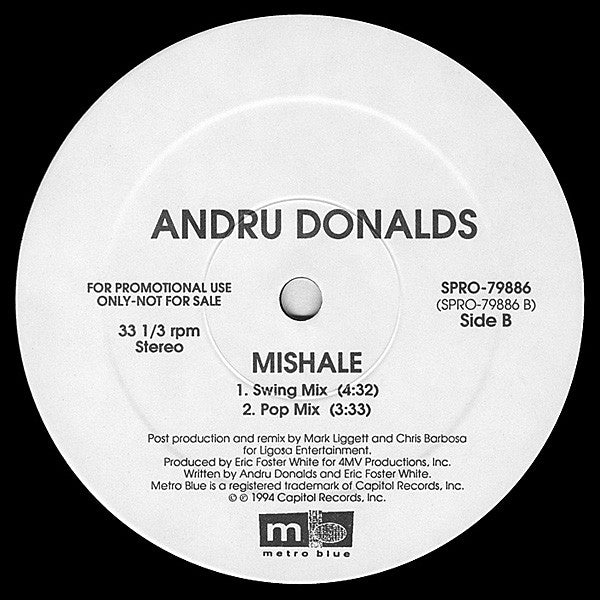 Andru Donalds : Mishale (12", Promo)