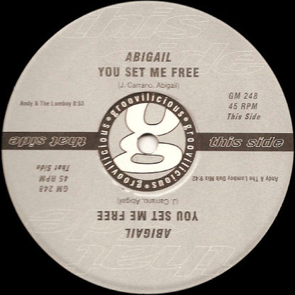 Abigail : You Set Me Free (12")