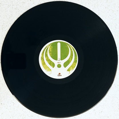 Bassnectar Featuring KristinaMaria* : Yo (12")