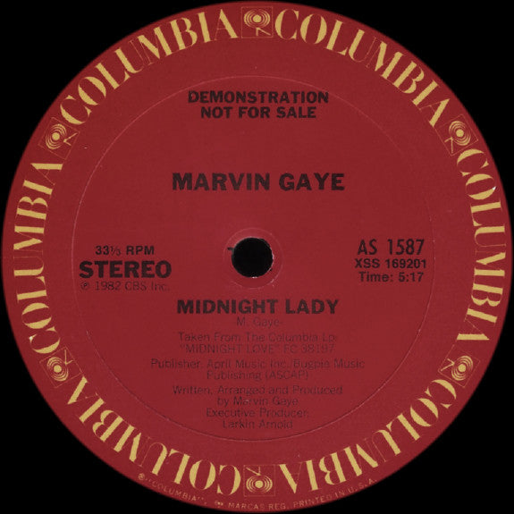 Marvin Gaye : Sexual Healing (Instrumental Version) (12", Promo)