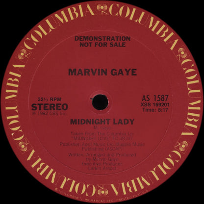 Marvin Gaye : Sexual Healing (Instrumental Version) (12", Promo)