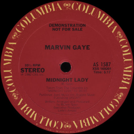 Marvin Gaye : Sexual Healing (Instrumental Version) (12", Promo)