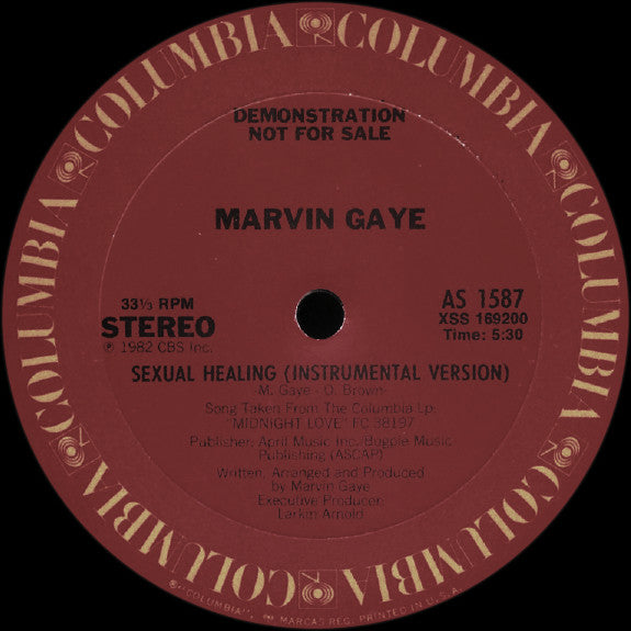 Marvin Gaye : Sexual Healing (Instrumental Version) (12", Promo)