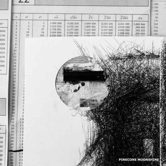 Various : PCMSV016 (12")