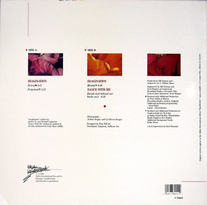 Exotic Birds : Imagination (12", Maxi, Promo)