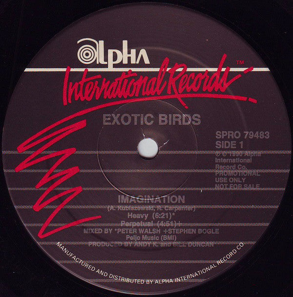 Exotic Birds : Imagination (12", Maxi, Promo)