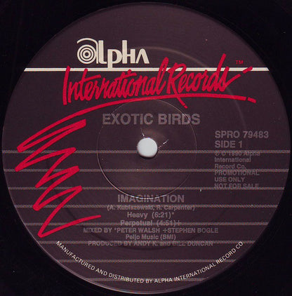 Exotic Birds : Imagination (12", Maxi, Promo)