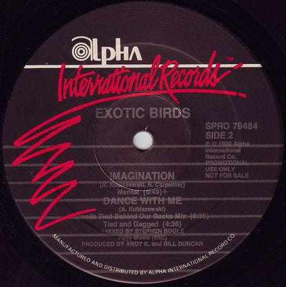 Exotic Birds : Imagination (12", Maxi, Promo)